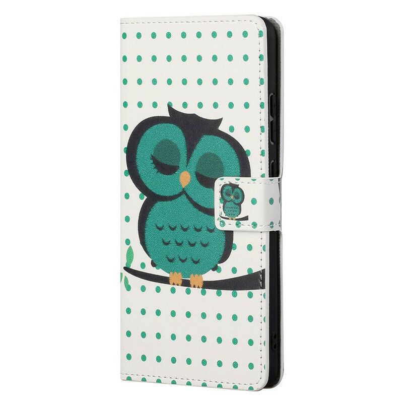 Housse iPhone 13 Pro Max Hibou Endormi