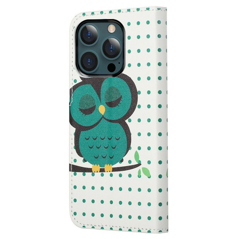 Housse iPhone 13 Pro Max Hibou Endormi