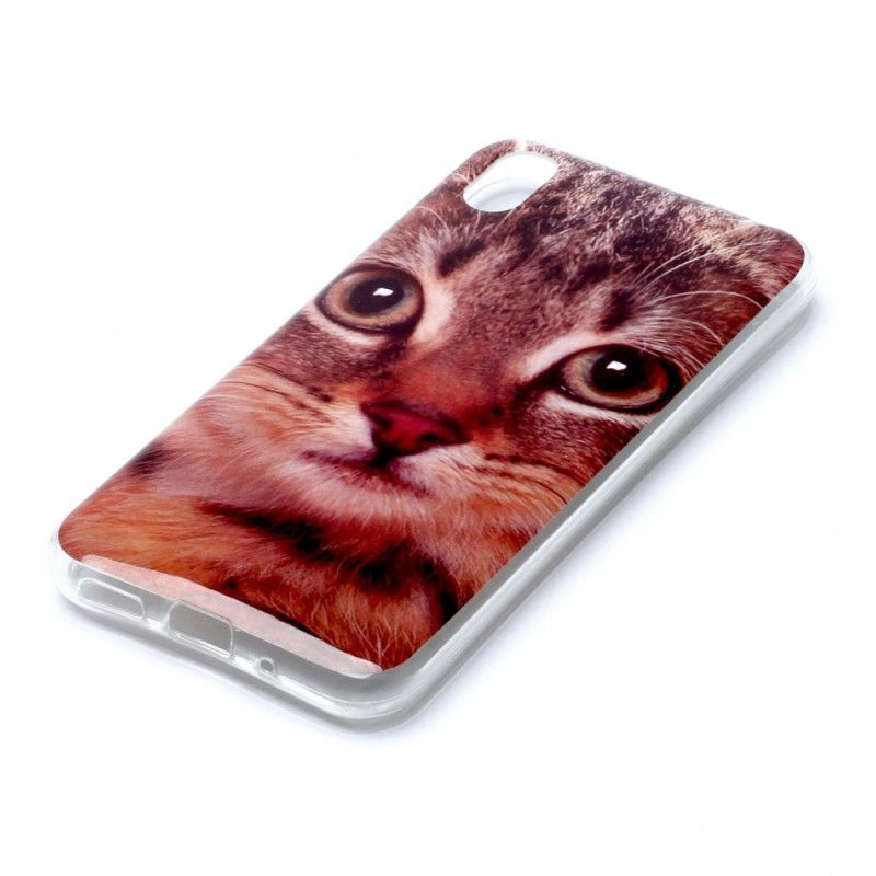 Coque Huawei Y5 2019 / Honor 8s Mon Chaton