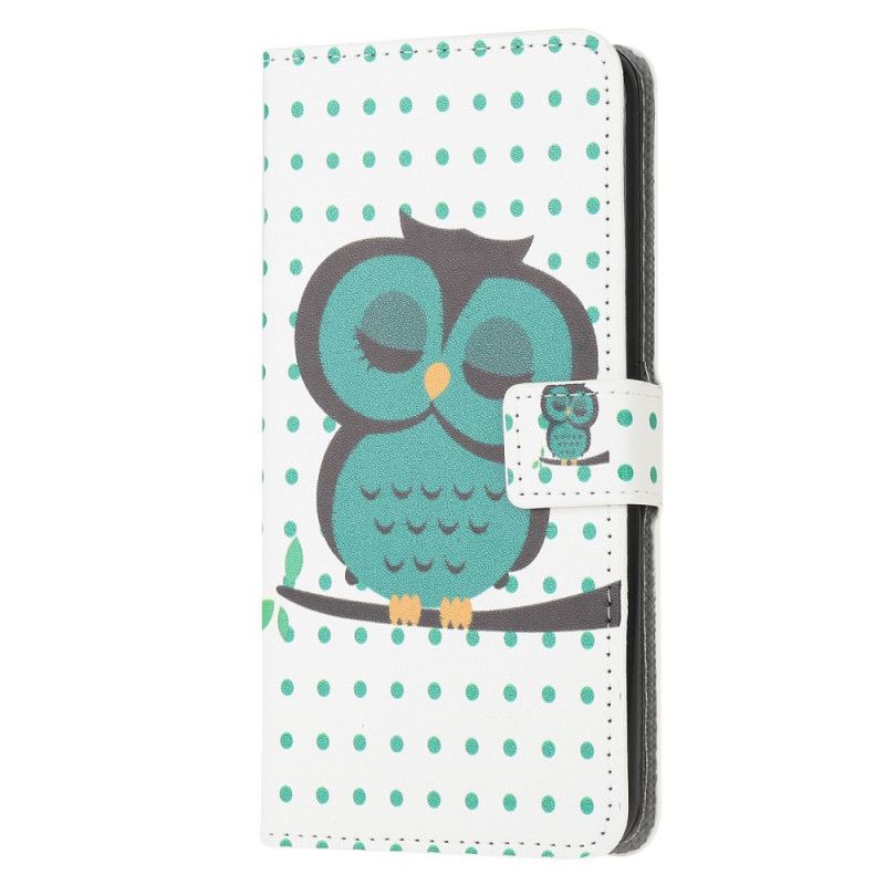 Housse Huawei P Smart 2020 Hibou Endormi