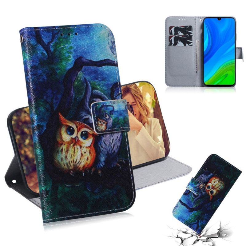 Housse Huawei P Smart 2020 Peinture De Hiboux