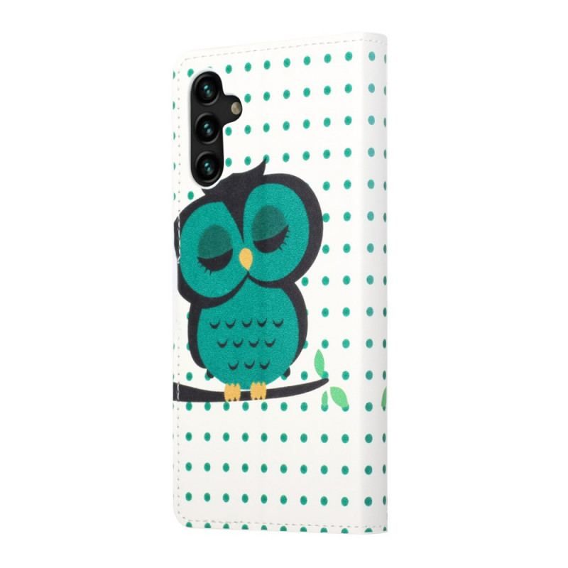 Housse Samsung Galaxy A13 5G Hibou Endormi