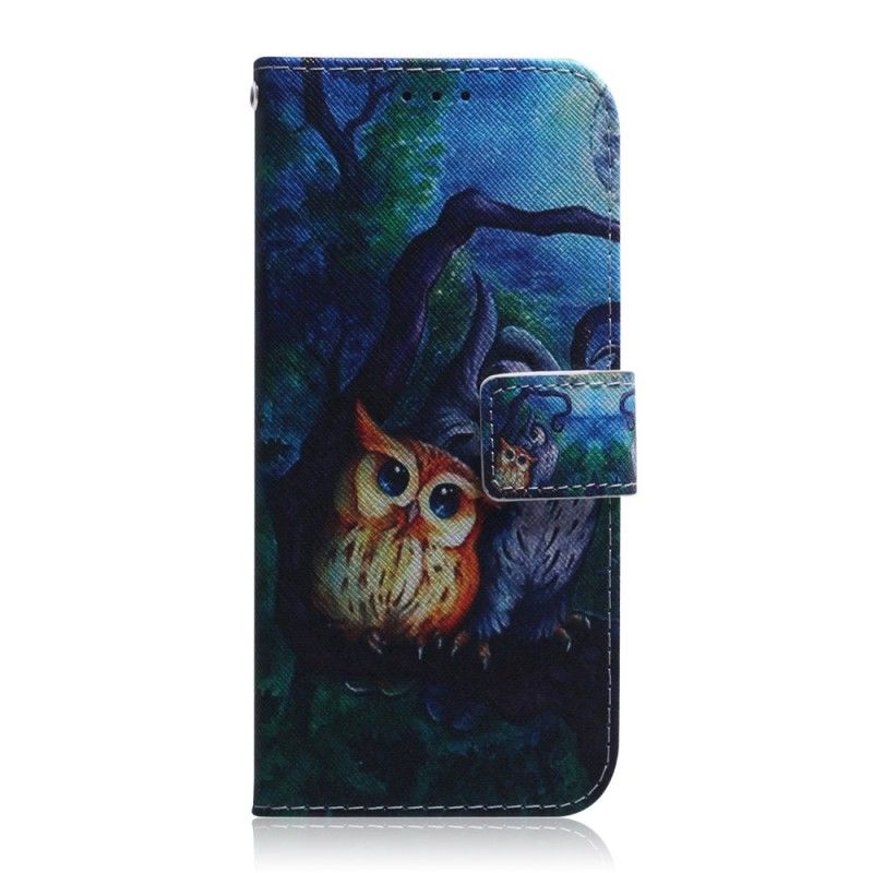 Housse Samsung Galaxy A40 Peinture De Hiboux